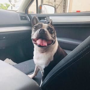 Meet your Posher, Riley